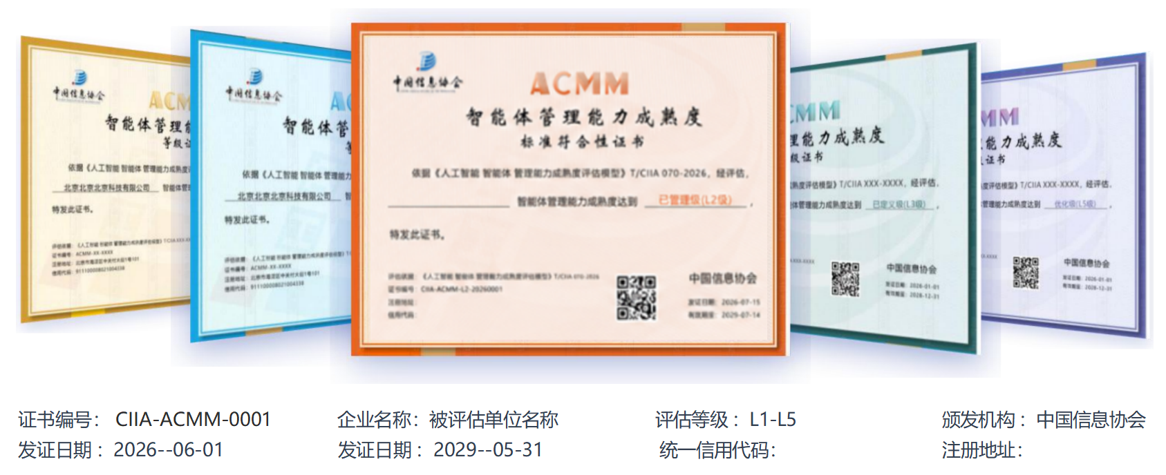 ACMM证书模板 ACMM证书模板